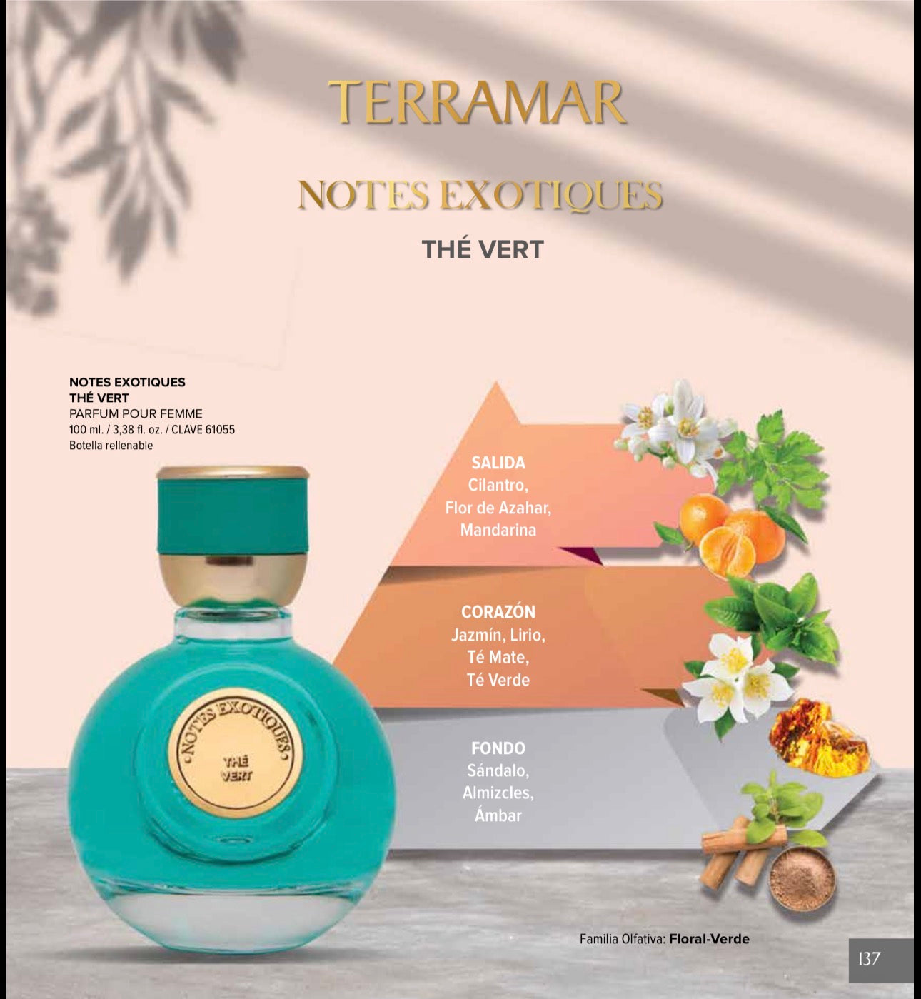 Notes Exotiques Thé Vert | Terramar