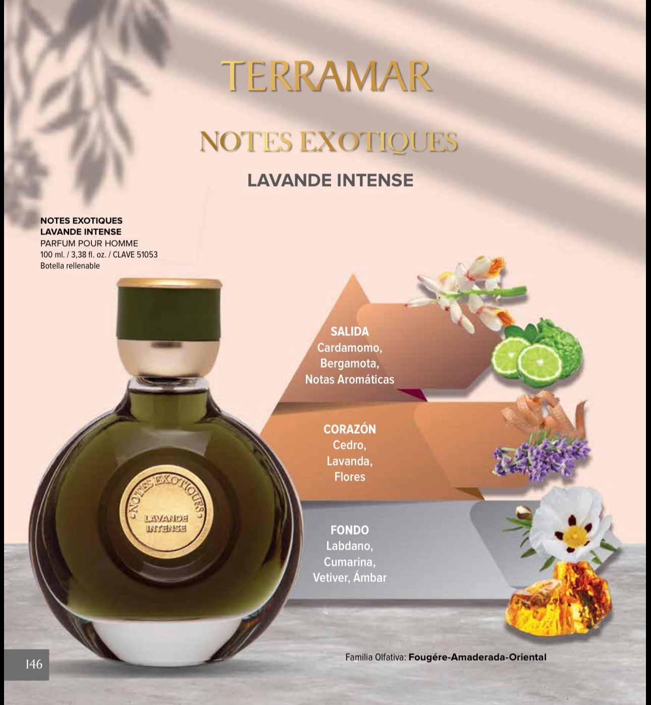 Perfume Notes Exotiques Lavande Intense | Terramar