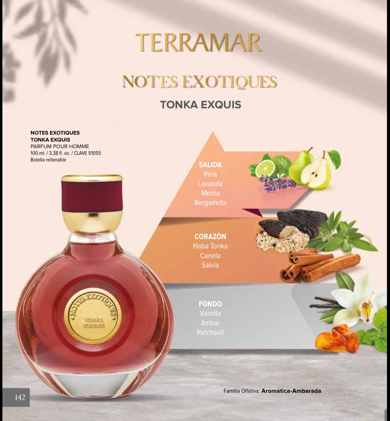 Perfume Notes Exotiques Tonka Exquis | Terramar