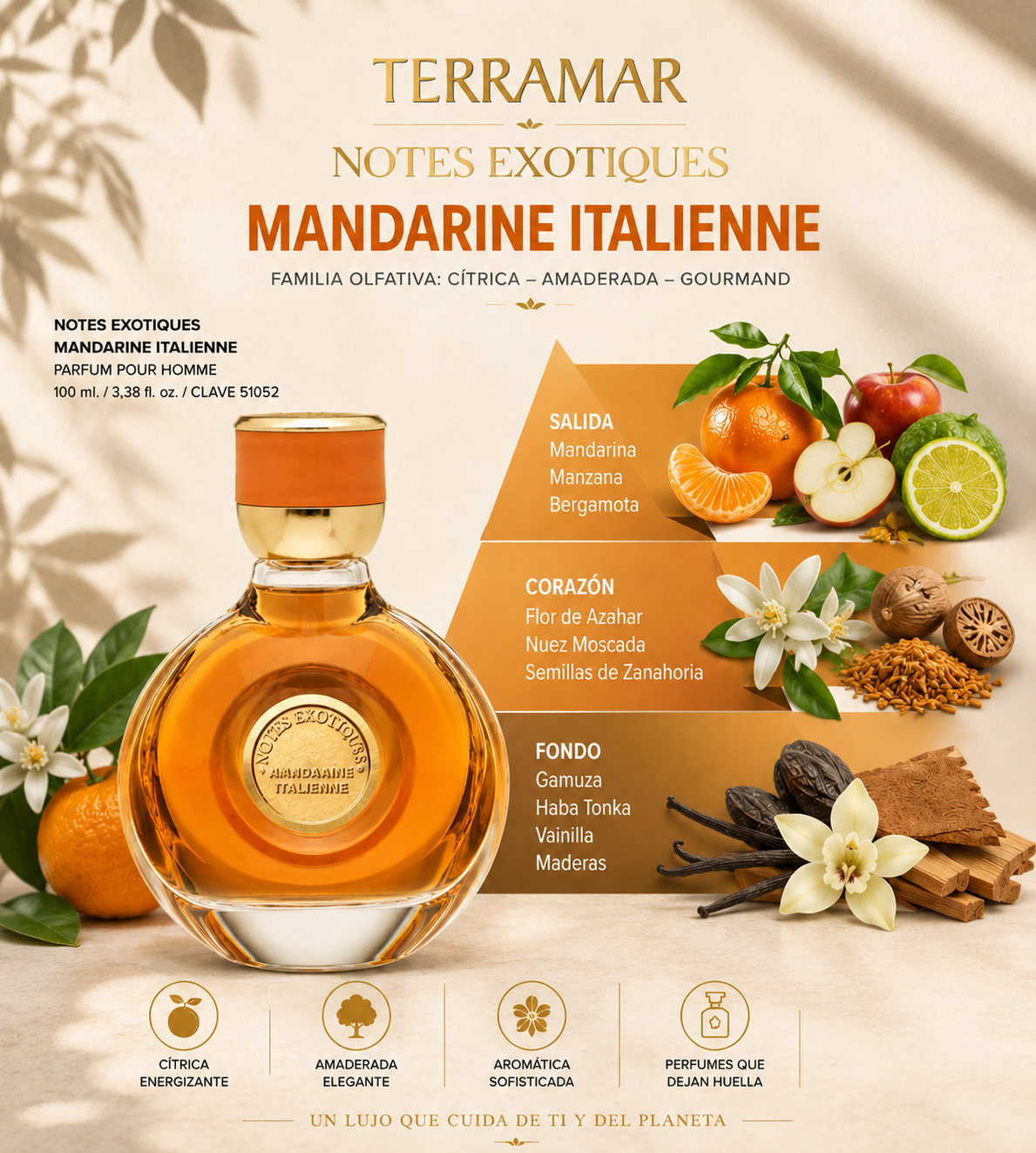 Perfume Notes Exotiques Mandarine Italienne | Terramar